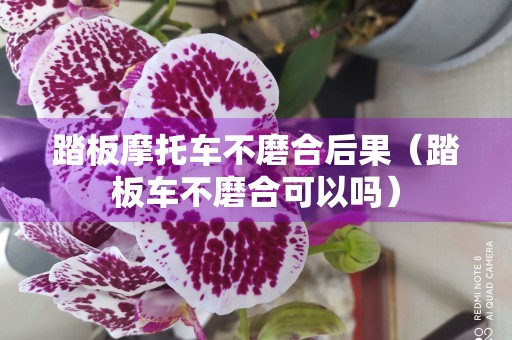 踏板摩托车不磨合后果（踏板车不磨合可以吗）