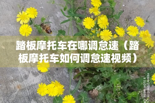 踏板摩托车在哪调怠速（踏板摩托车如何调怠速视频）