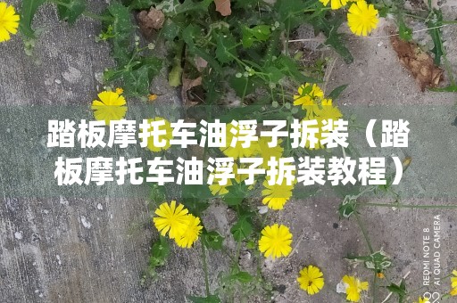 踏板摩托车油浮子拆装（踏板摩托车油浮子拆装教程）