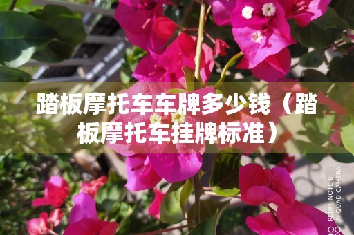 踏板摩托车车牌多少钱（踏板摩托车挂牌标准）