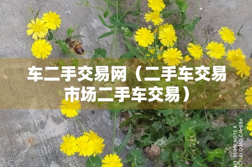 车二手交易网（二手车交易市场二手车交易）