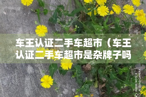 车王认证二手车超市（车王认证二手车超市是杂牌子吗）