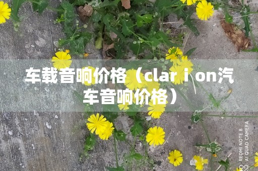 车载音响价格（clarⅰon汽车音响价格）