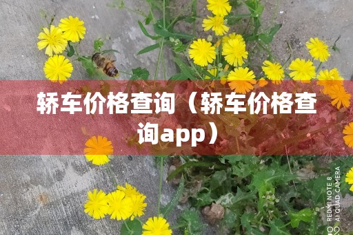 轿车价格查询（轿车价格查询app）