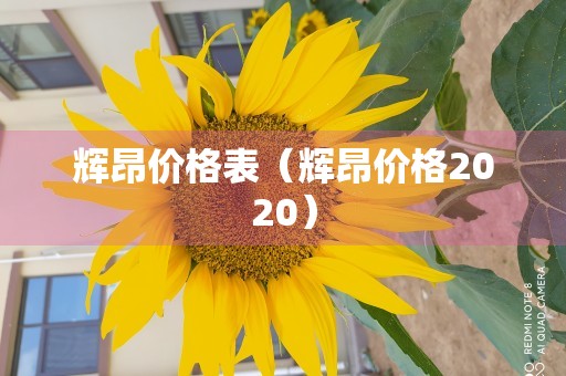 辉昂价格表（辉昂价格2020）