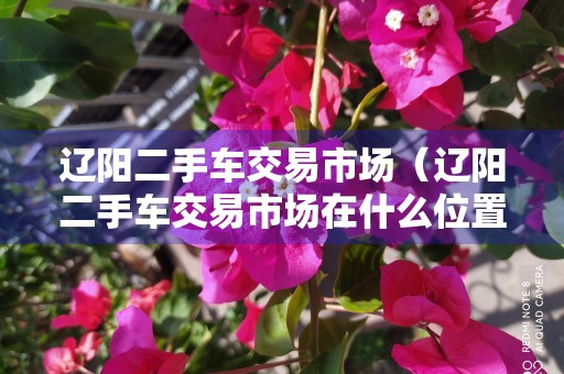 辽阳二手车交易市场（辽阳二手车交易市场在什么位置）