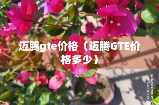 迈腾gte价格（迈腾GTE价格多少）