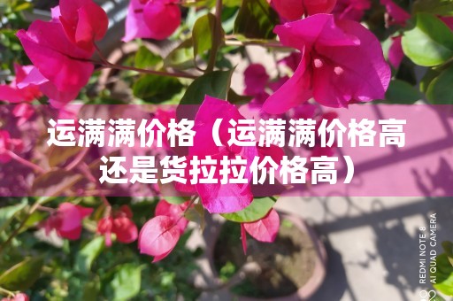 运满满价格（运满满价格高还是货拉拉价格高）