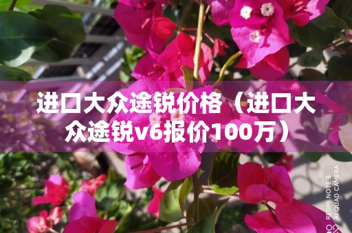 进口大众途锐价格（进口大众途锐v6报价100万）