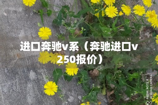 进口奔驰v系（奔驰进口v250报价）