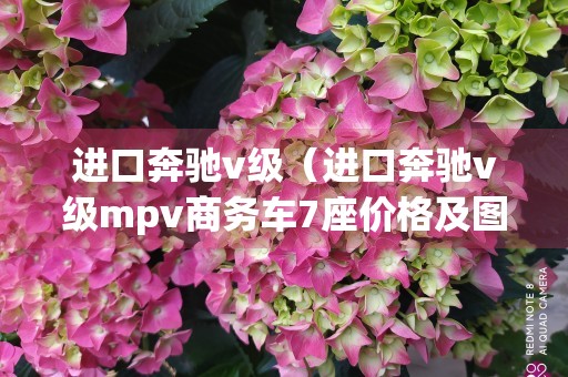 进口奔驰v级（进口奔驰v级mpv商务车7座价格及图片）