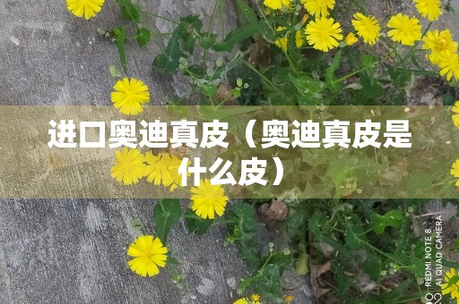 进口奥迪真皮（奥迪真皮是什么皮）