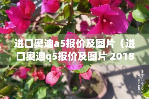 进口奥迪a5报价及图片（进口奥迪q5报价及图片 2018）