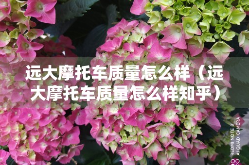 远大摩托车质量怎么样（远大摩托车质量怎么样知乎）