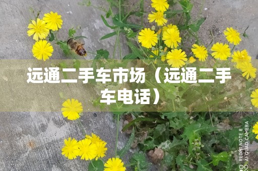 远通二手车市场（远通二手车电话）