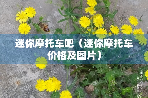 迷你摩托车吧（迷你摩托车价格及图片）