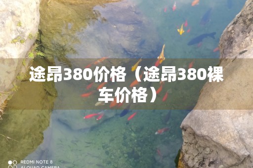 途昂380价格（途昂380裸车价格）