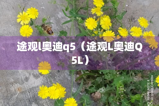 途观l奥迪q5（途观L奥迪Q5L）