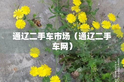 通辽二手车市场（通辽二手车网）