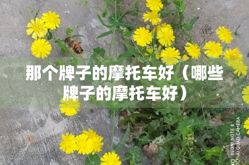 那个牌子的摩托车好（哪些牌子的摩托车好）