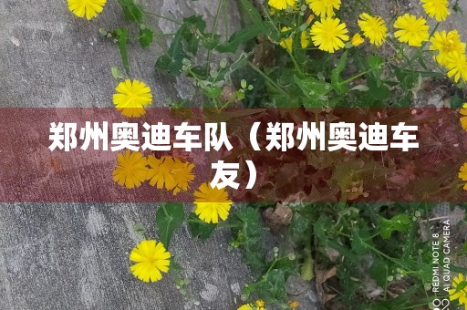 郑州奥迪车队（郑州奥迪车友）