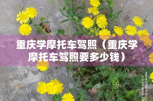 重庆学摩托车驾照（重庆学摩托车驾照要多少钱）