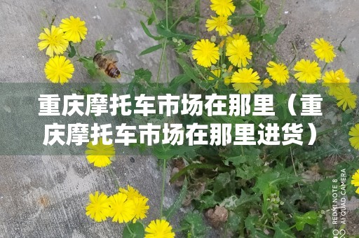 重庆摩托车市场在那里（重庆摩托车市场在那里进货）