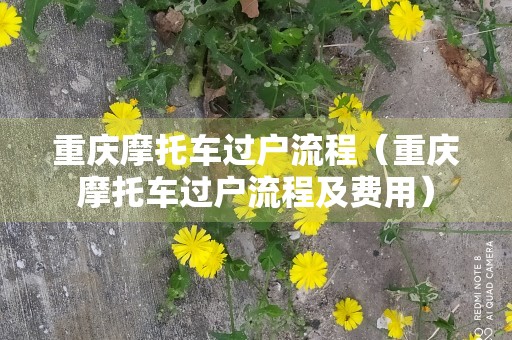 重庆摩托车过户流程（重庆摩托车过户流程及费用）