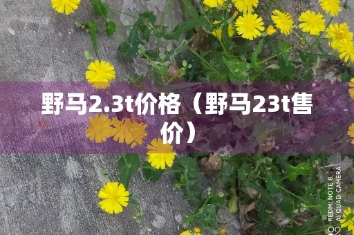 野马2.3t价格（野马23t售价）