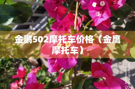 金鹏502摩托车价格（金鹰摩托车）