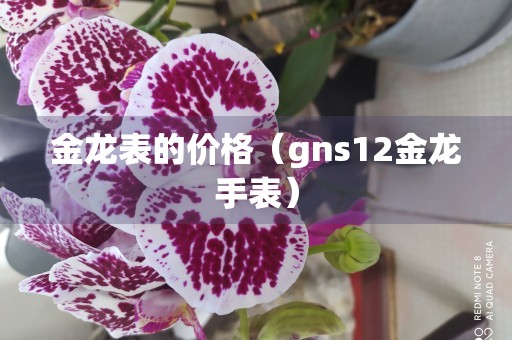 金龙表的价格（gns12金龙手表）