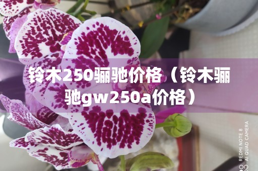 铃木250骊驰价格（铃木骊驰gw250a价格）