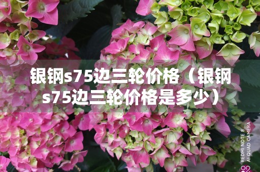 银钢s75边三轮价格（银钢s75边三轮价格是多少）