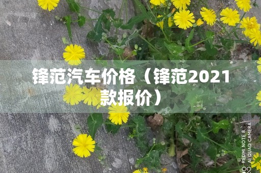 锋范汽车价格（锋范2021款报价）