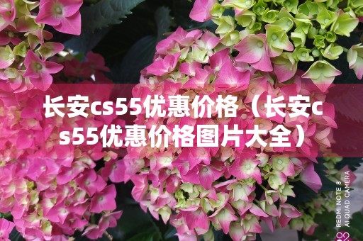 长安cs55优惠价格（长安cs55优惠价格图片大全）