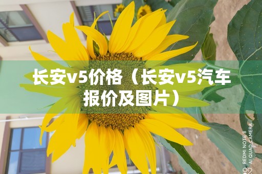 长安v5价格（长安v5汽车报价及图片）