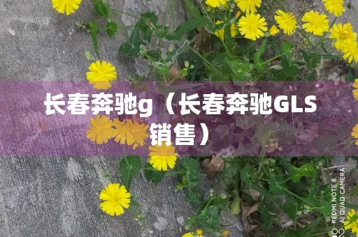 长春奔驰g（长春奔驰GLS销售）