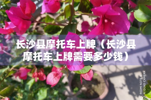 长沙县摩托车上牌（长沙县摩托车上牌需要多少钱）