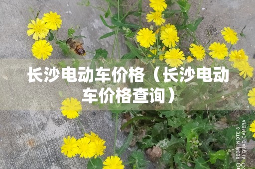 长沙电动车价格（长沙电动车价格查询）