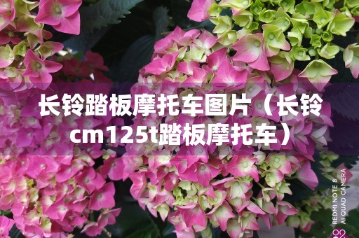 长铃踏板摩托车图片（长铃cm125t踏板摩托车）