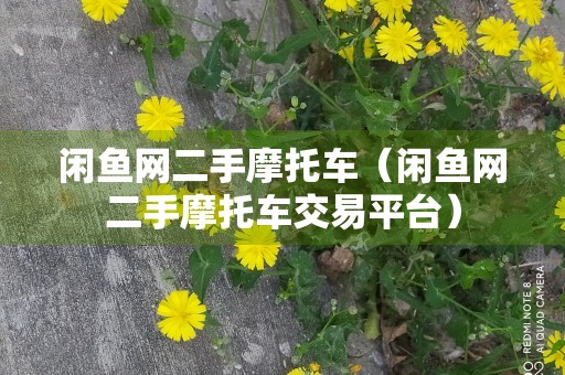 闲鱼网二手摩托车（闲鱼网二手摩托车交易平台）