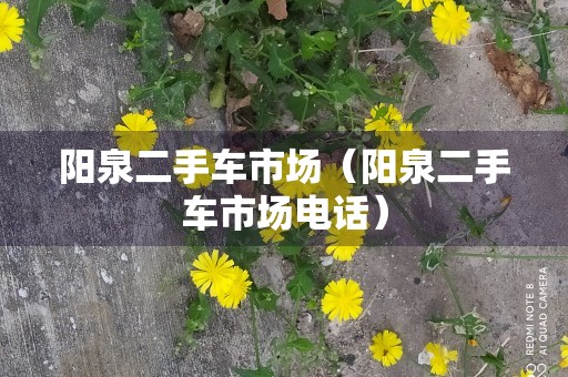 阳泉二手车市场（阳泉二手车市场电话）