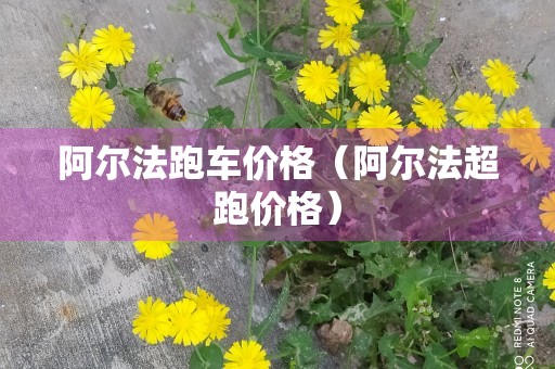 阿尔法跑车价格（阿尔法超跑价格）