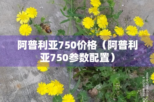 阿普利亚750价格（阿普利亚750参数配置）