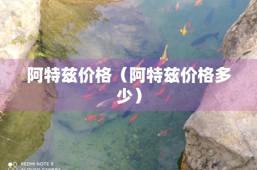 阿特兹价格（阿特兹价格多少）