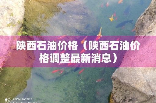 陕西石油价格（陕西石油价格调整最新消息）