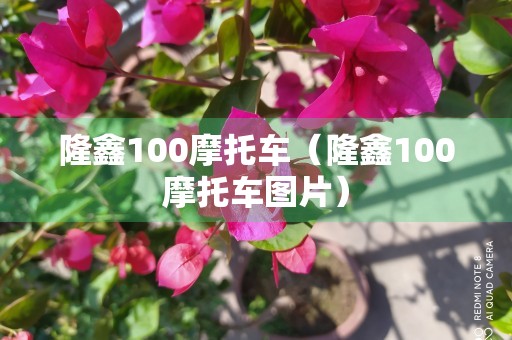 隆鑫100摩托车（隆鑫100摩托车图片）