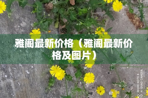 雅阁最新价格（雅阁最新价格及图片）