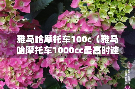 雅马哈摩托车100c（雅马哈摩托车1000cc最高时速是多少）