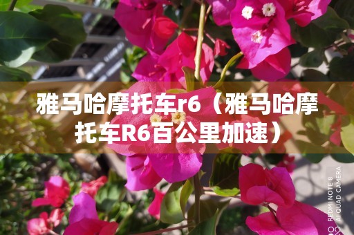 雅马哈摩托车r6（雅马哈摩托车R6百公里加速）